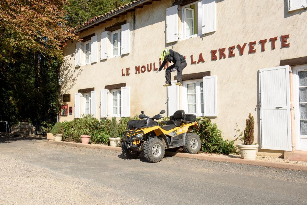 Hotel Du Moulin De La Brevette Arbigny Buitenkant foto